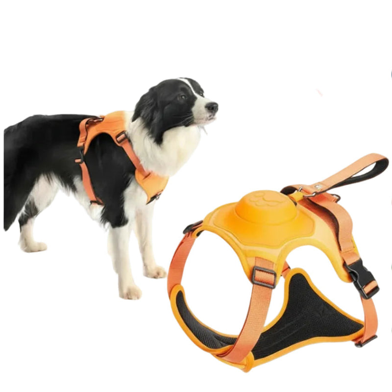 Anti-Pull Dog Harness